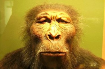 Ученые «оживили» древних людей, вымерших 300 тысяч лет назад
