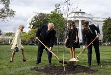 Из-под Белого дома исчез дуб, посаженный Макроном и Трампом