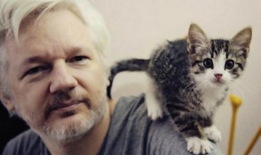 Что с ним будет теперь? Судьбой кота Джулиана Ассанжа интересуются не меньше, чем судьбой самого основателя WikiLeaks