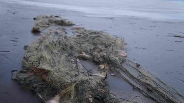 Из Азовского моря достали 11 километров рыбацких сетей