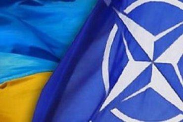 Турция, Польша и Румыния поддержали вступление Украины в НАТО
