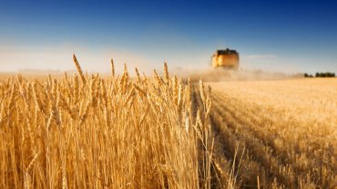 Украина поднялась в тройку лидеров по поставкам агропродукции в Евросоюз