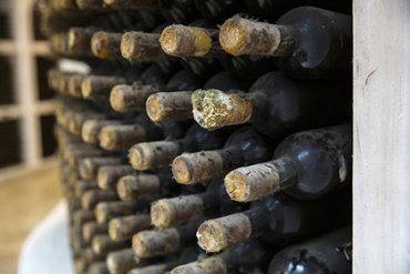 Винодельческие предприятия в Крыму могут остановиться из-за санкций Запада