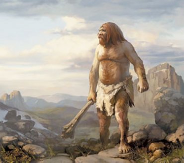 Рацион людей два миллиона лет состоял практически только из мяса