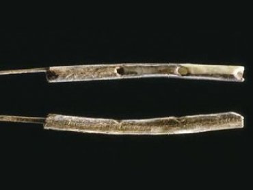 Археологи состарили древнейшие музыкальные инструменты