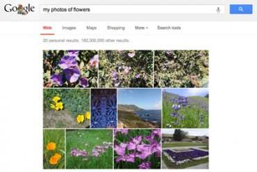 Google+ научили находить на фото еду и цветы