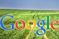 Google будет инвестировать в аграрные технологии