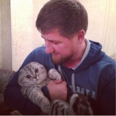 От Кадырова сбежал кот, стоимостью в 100 тысяч рублей