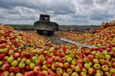 В России раздавили бульдозером 178 тонн яблок из Европы