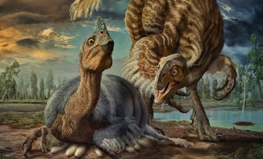 Ученые открыли новый удивительный вид гигантских динозавров