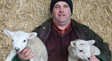 Спецслужбы США поймали фермера, продававшего овец в сексуальное рабство ИГИЛ