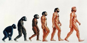 Ученые доказали, что люди до сих пор подвергнуты эволюции