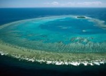 Австралия выделит 500 млн долларов на защиту Большого барьерного рифа