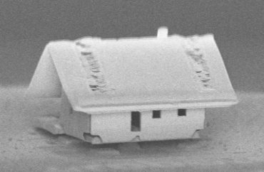 Французы сделали дом размером в волосок – его видно только в микроскоп