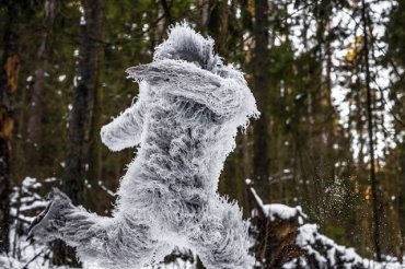 Армия Индии рассказала об обнаружении следов снежного человека в Гималаях