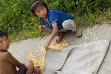 В ООН предупредили, что Северной Корее грозит голод