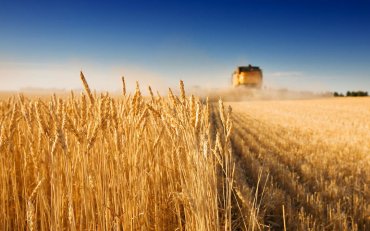 Украина почти на четверть увеличила экспорт агропродукции