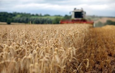 США ожидает рекордный урожай зерновых в Украине