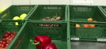 В Чехии власти обязали крупные супермаркеты не выбрасывать продукты на помойку