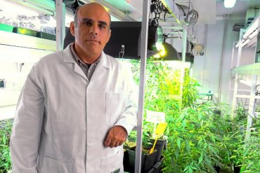 Ученый из Испании разработал первую в мире «легальную марихуану»