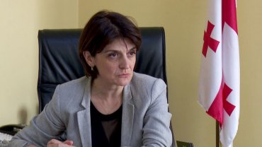 Грузинского министра уволили из-за российских флагов