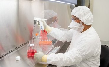 Американские ученые обнаружили антитело, способное заблокировать коронавирус