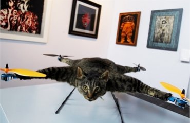 Голландец сконструировал радиоуправляемый вертолет из мертвого кота