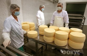 СМИ: Россияне обнаружили антибиотики в украинском сыре