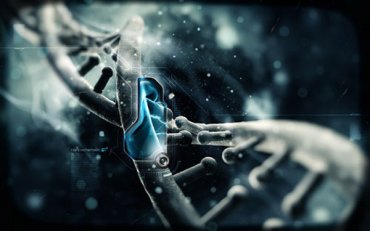 ДНК человека продолжает удивлять ученых