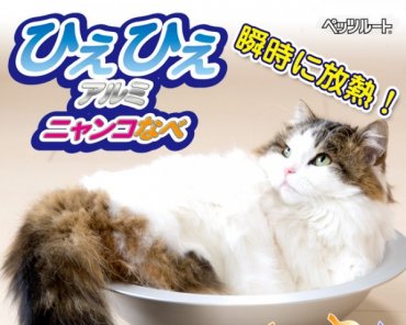 В Японии продается миска “Kitty-Cat Pots” для спасения кошек в летнего зноя