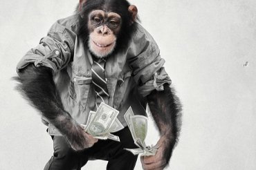 В Индии обезьяна ограбила магазин, завладев всей выручкой
