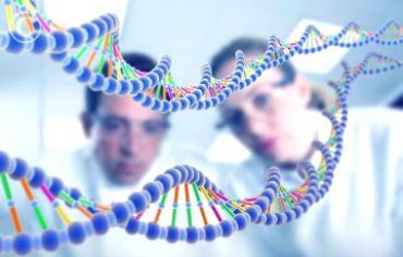 Ученые научились предсказывать успех по генам