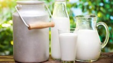 В Украине сокращается производство молока