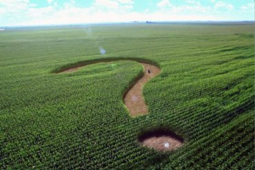 Что Украина выиграет от снятия моратория на продажу сельскохозяйственной земли: расчеты и перспективы