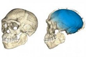 Древнейшие останки Homo sapiens могут переписать историю нашего вида
