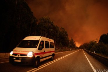 В Португалии из-за лесных пожаров погибло 62 человека