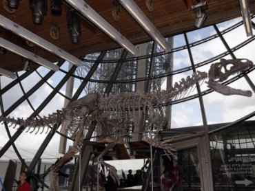 В Париже на аукционе скелет неизвестного динозавра продали за 2 млн евро