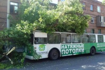 В Запорожье на троллейбус с пассажирами упало дерево