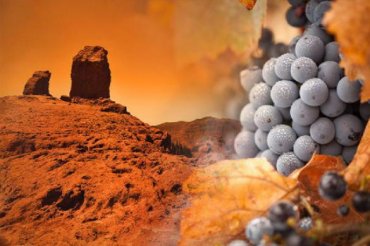 Грузия собралась выращивать на Марсе виноград