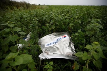 Премьер Малайзий усомнился в итогах расследования катастрофы MH17