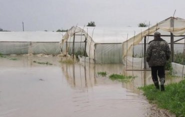 Убытки от паводка в Закарпатье составили 500 млн гривен