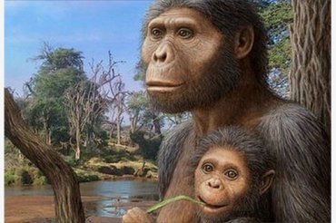 Ученые нашли «Отца человечества». Это древнейший обезьяно-человек