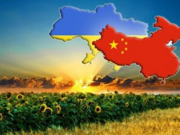 Стало известно, сколько украинцы зарабатывают в Китае