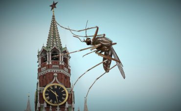 Россия обвинила Украину в разработке по заказу США вирусов для боевых комаров