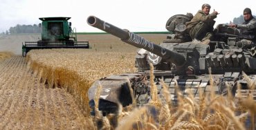Мелитопольские фермеры на грани разорения: посевная озимых под угрозой срыва