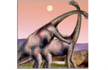 Ученые выяснили, в какой позе спаривались динозавры
