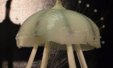 Ученые создали из силикона робота-медузу