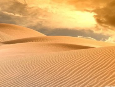 В пустыне найдены крупные запасы воды