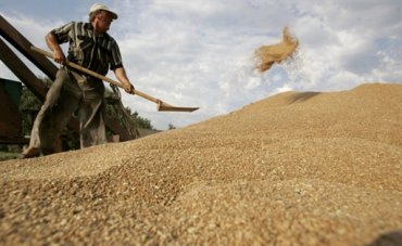 Украина может занять третье место в мире по экспорту зерна