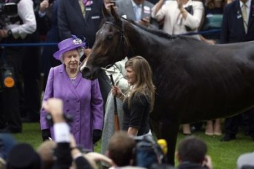 Британской королеве грозит штраф – ее лошадь поймали на допинге